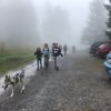 IMG-20180814-WA0012